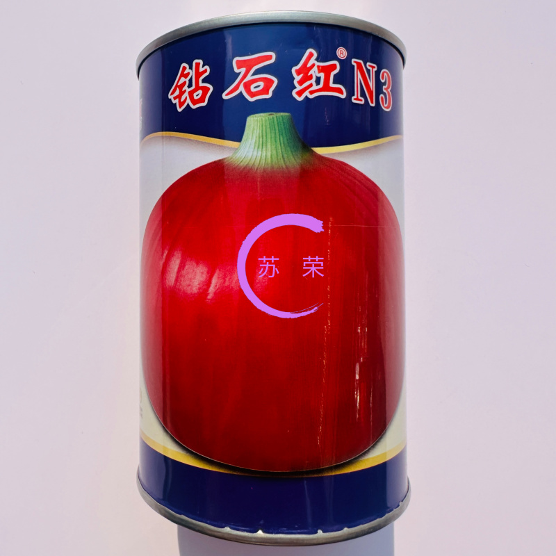 钻石红N3洋葱种子丰产性好半高桩紫红皮洋葱辣味浓