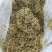 金银花（各种规格）