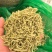 金银花（各种规格）