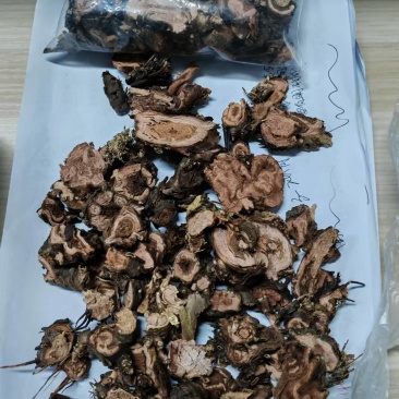 红景天(小花)