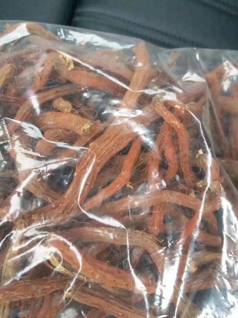 丹参优质正品厂家直销详询电话