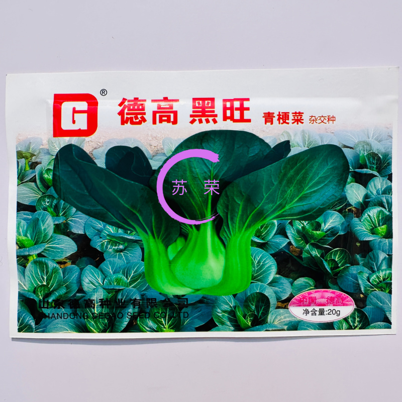 德高黑旺青梗菜种子高产抗病耐热耐寒农家菜园基地阳台种植