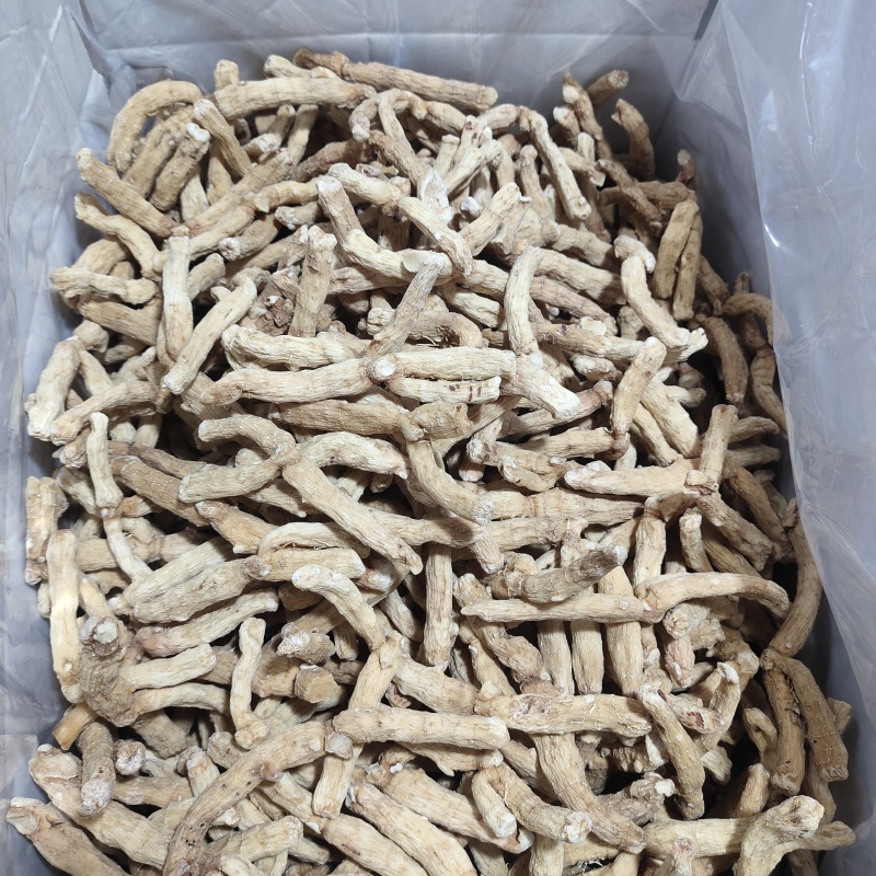 湖南玉竹条选装油条生晒无硫干度好颜色好发货快量大从优