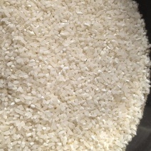 碎米缅甸碎米米粉专用碎米食品专用碎米