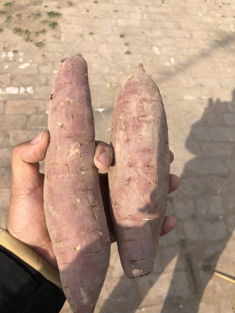 红瑶红薯、榴莲蜜薯