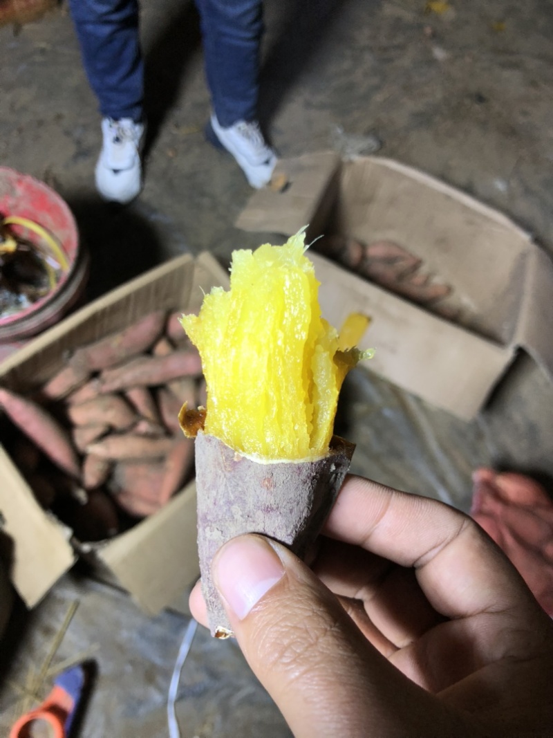 红瑶红薯、榴莲蜜薯