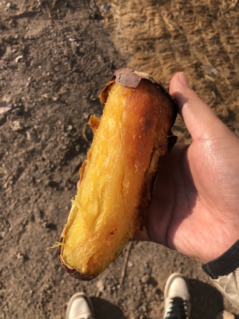红瑶红薯、榴莲蜜薯
