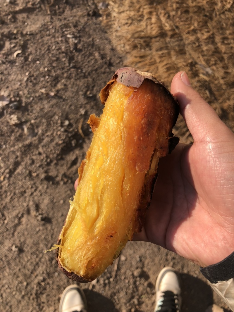 红瑶红薯、榴莲蜜薯