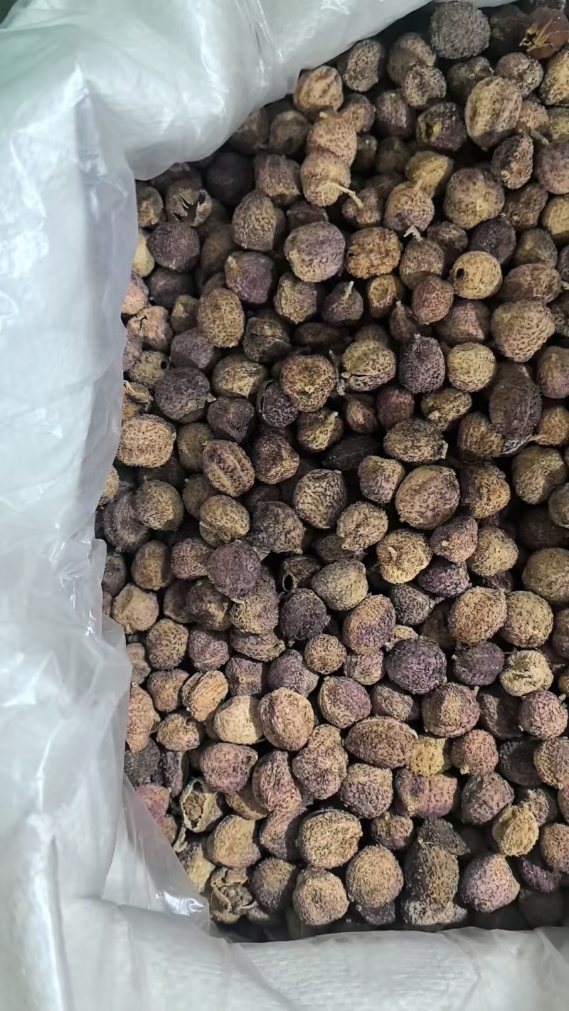 砂仁阳春砂仁壳砂仁中药材批发砂仁质量保证量大从优