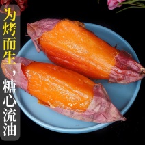 蜜薯红薯