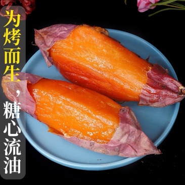 蜜薯红薯
