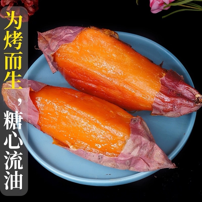 蜜薯红薯