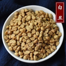 精选白丑白牵牛子正品中药材白丑白牵牛牵牛子