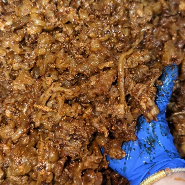 筋筋有味（蒜香，香辣2种口味）