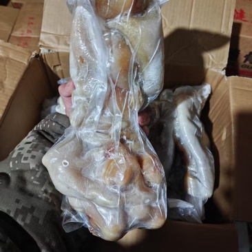【熟牛蹄筋】熟牛蹄，卤煮烧都可以