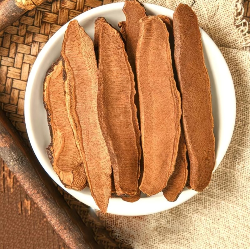 桂林灵芝