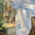 广东清远北江河鲜刀蚬长期