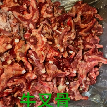 牛叉骨