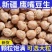 包邮）鹰嘴豆生新货正宗新疆生的豆类干货豆子五谷杂粮鸡心豆