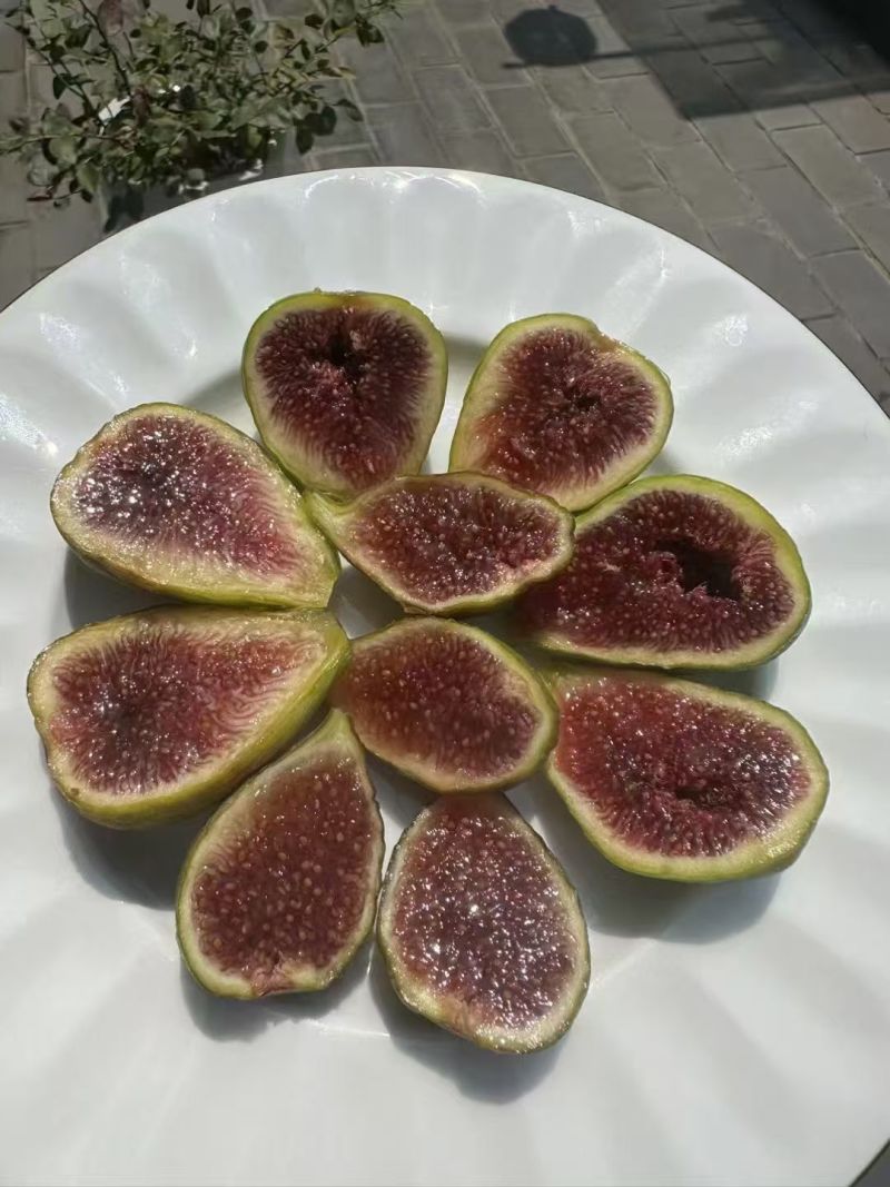 探寻无花果的奥秘,品味自然的馈赠,每一口都是时光精华