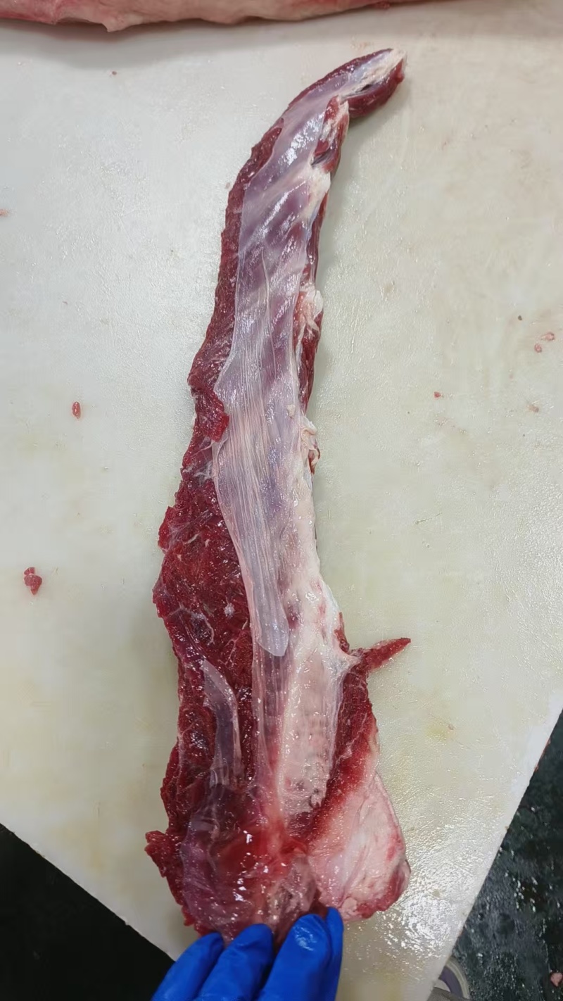加肉燕翅骨