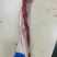 加肉燕翅骨