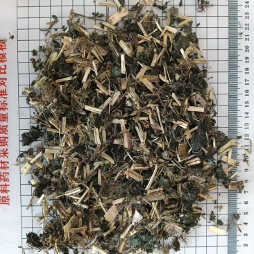荨麻草干货切段荨麻草中药材！欢迎选购！量大从优！