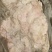 牛杂油