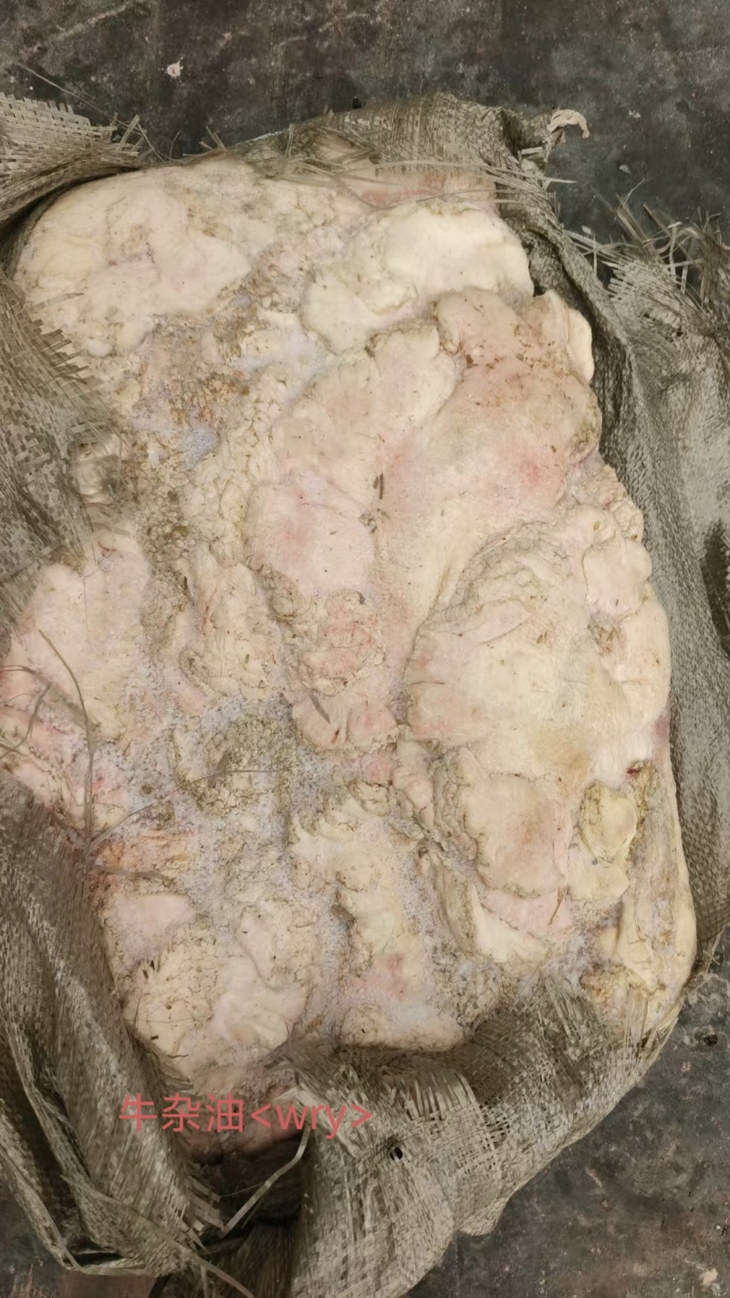 牛杂油