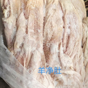 羊净肚