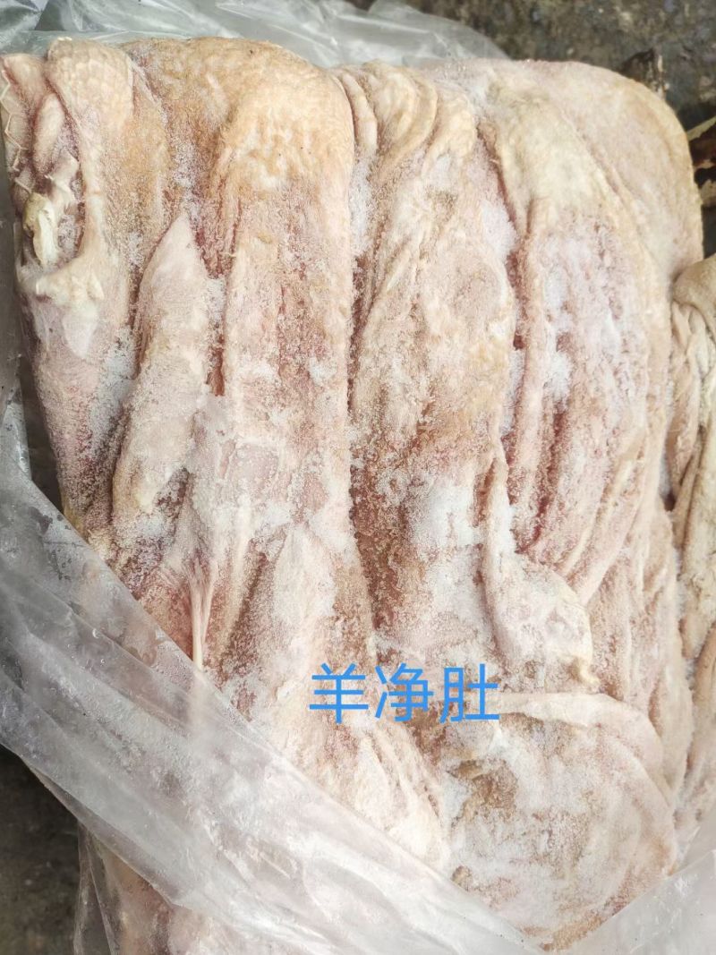羊净肚