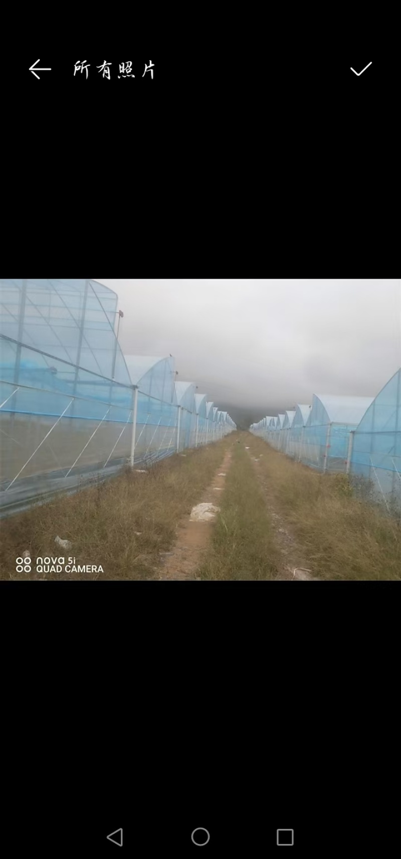江西大棚出租