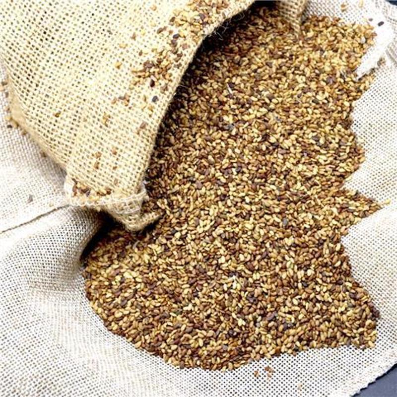 草头种子金花菜种籽农家蔬菜四季耐寒蔬菜种孑中叶草头金花菜
