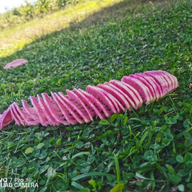 云南七彩土豆串***********
