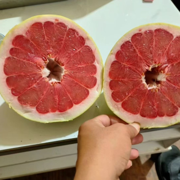 福建平和三红蜜柚