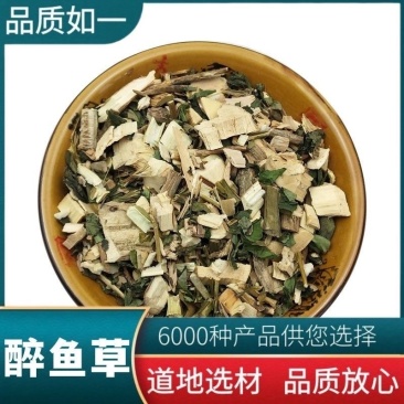 醉鱼草中药材野生新货鱼尾草冷背中药材大全批发零售