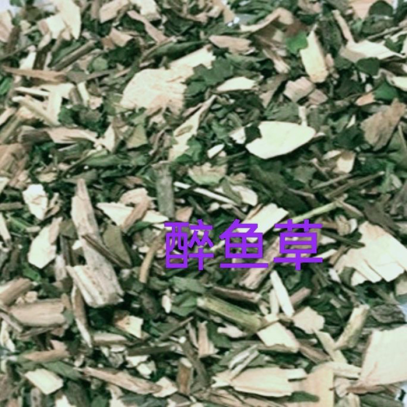 醉鱼草中药材野生新货鱼尾草冷背中药材大全批发零售