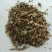 醉鱼草中药材野生新货鱼尾草冷背中药材大全批发零售