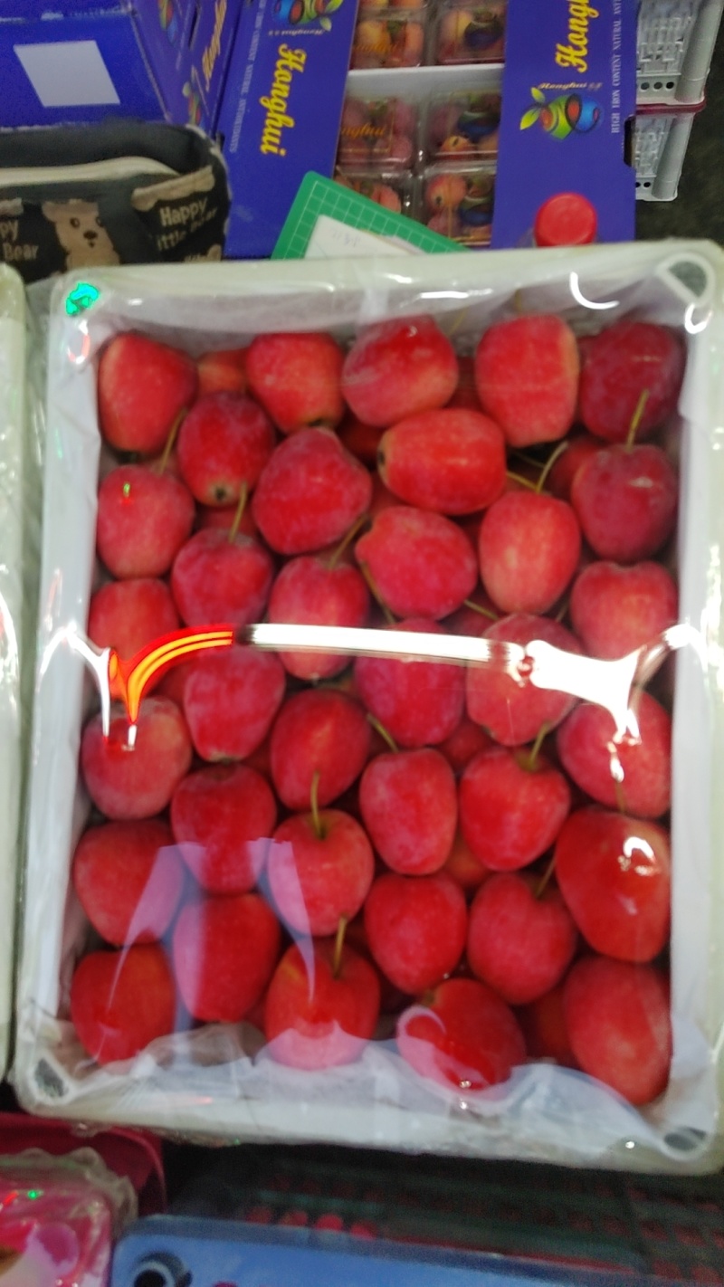 辽宁产地！大量现货！锦绣海棠鸡心果对接市场！一手货源