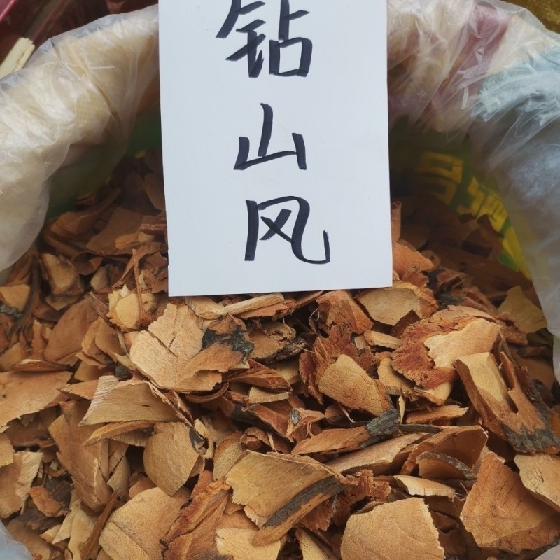 钻山风中药材黑老虎野生冷背中药材大全批发零售