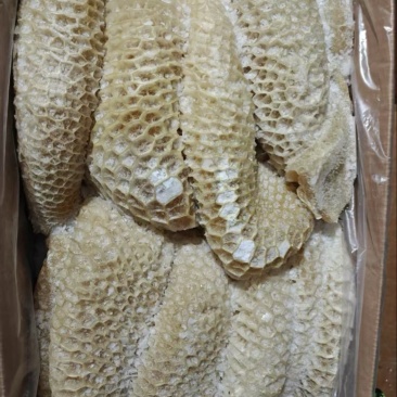 金钱肚
