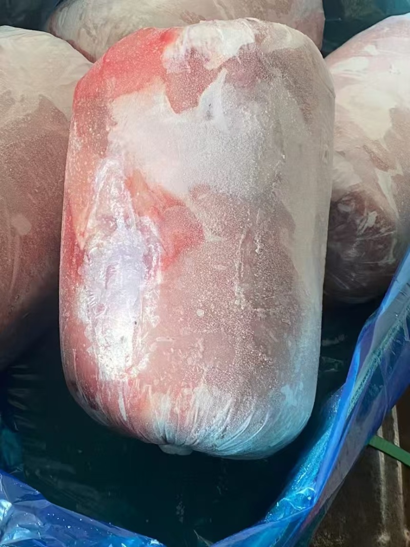 肥猪四号卷