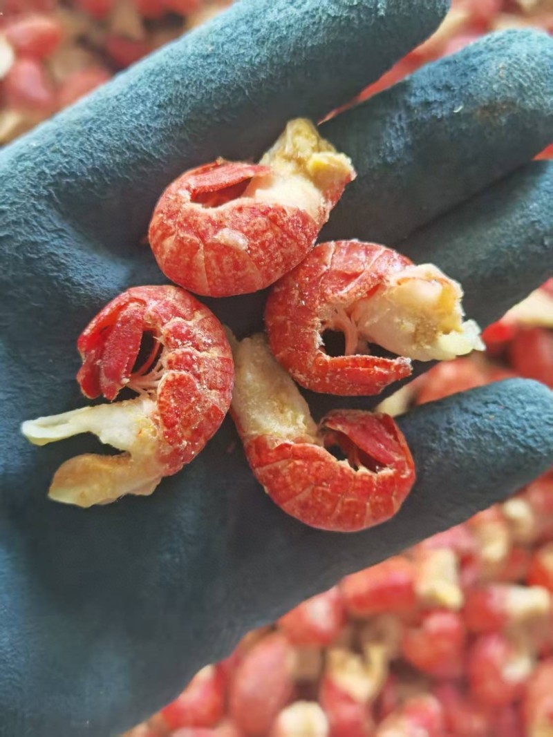龙虾尾纯干货没有冰衣！颗颗饱满！库存充足