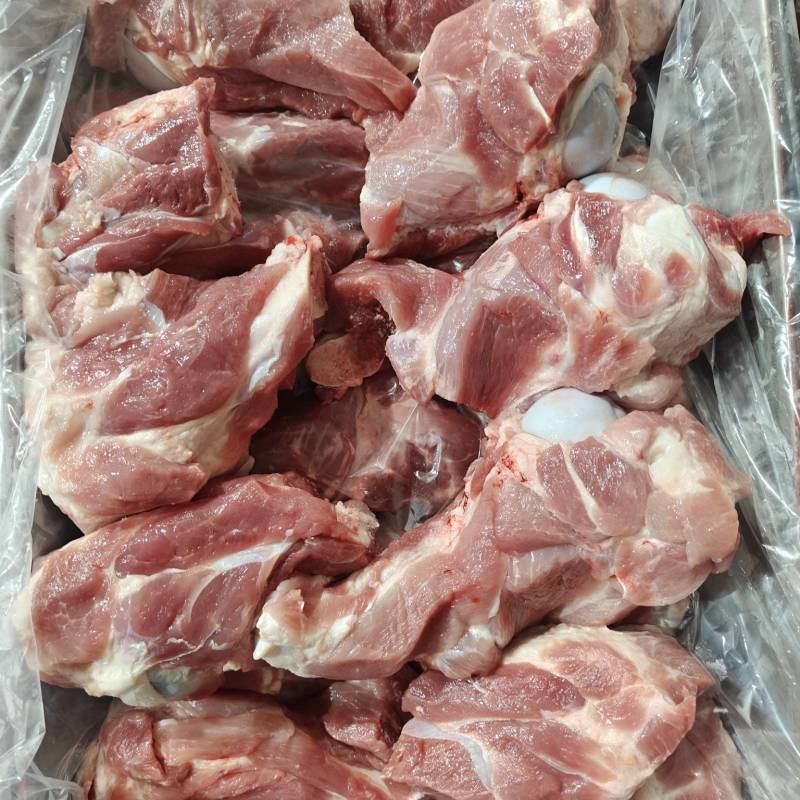 前腿骨
