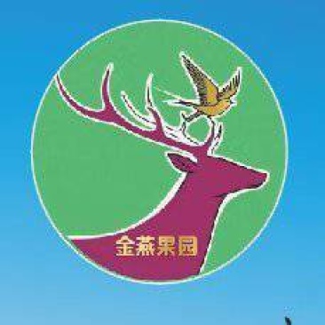 金燕果园