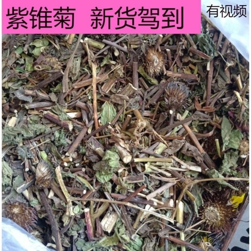 紫锥菊中药材正品冷背中药材大全批发零售质量保证