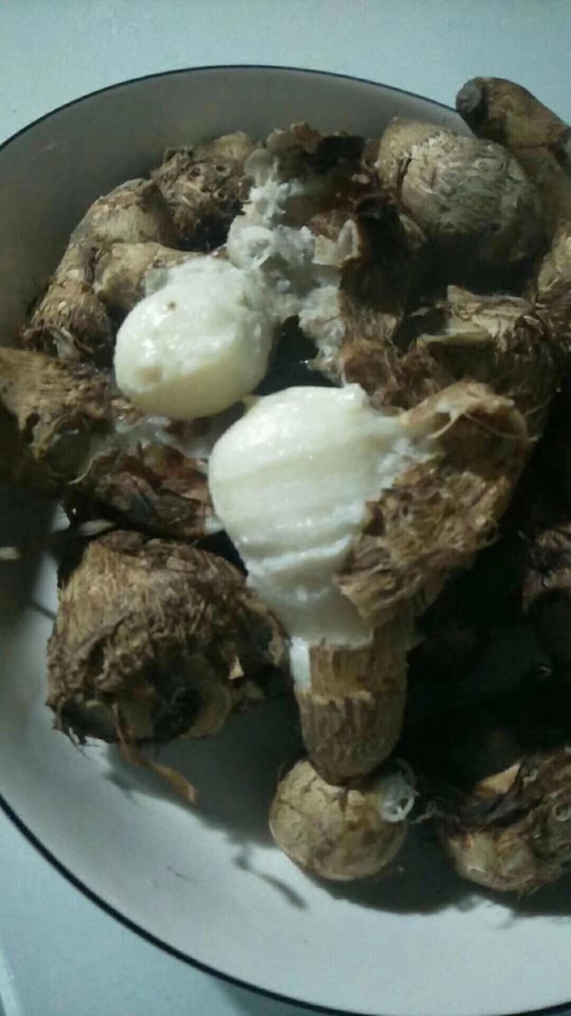 毛芋头口感好质量优有需要请联系