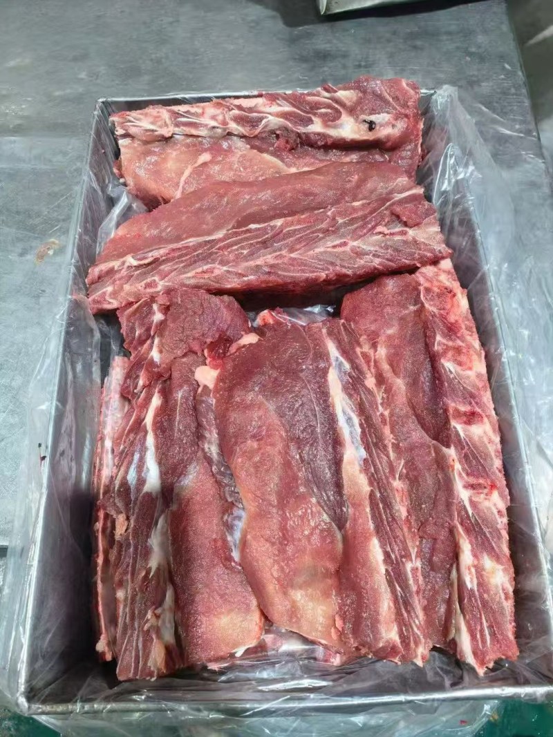 母猪龙骨