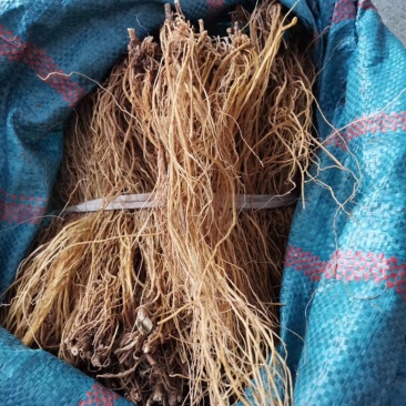 临沧滇龙胆大根含量足龙胆根龙胆草花山龙胆坚龙胆青鱼胆草好