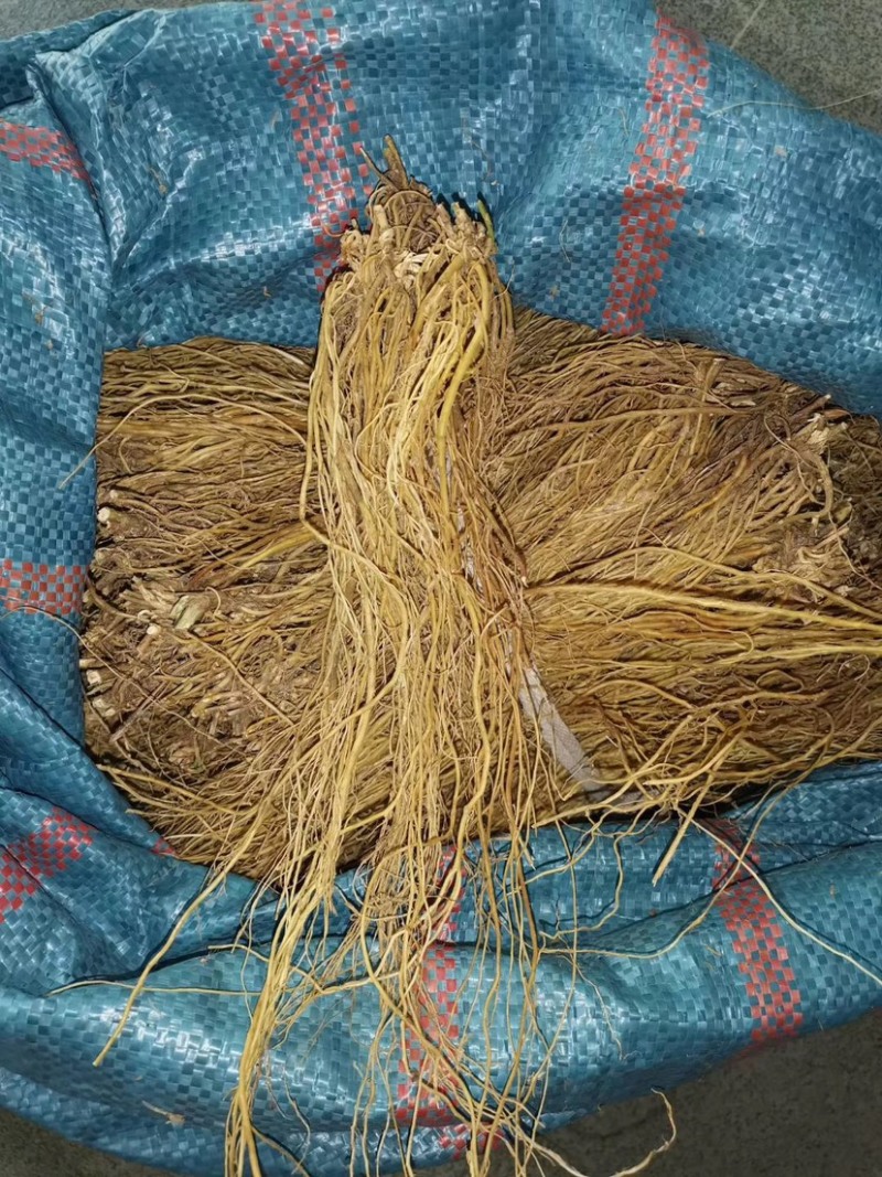 临沧滇龙胆大根含量足龙胆根龙胆草花山龙胆坚龙胆青鱼胆草好